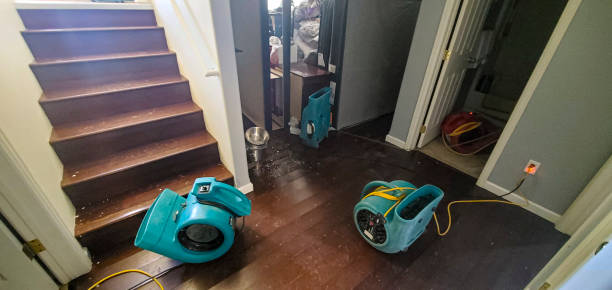 Best Water damage restoration near me  in Westwood Shores, TX