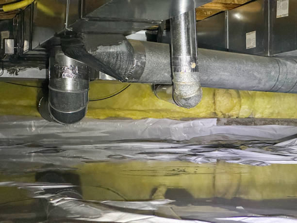 Best Local water damage restoration  in Westwood Shores, TX