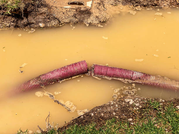 Best Flood restoration services  in Westwood Shores, TX